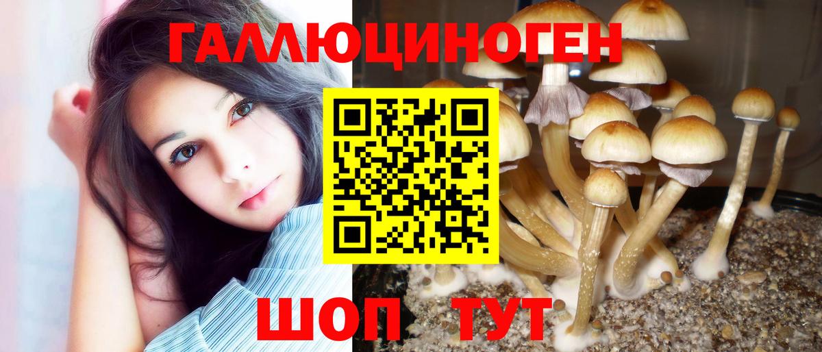 Галлюциногенные грибы GOLDEN TEACHER Ростов Великий