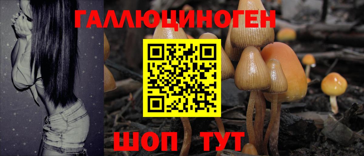 купить наркотики цена  Псилоцибиновые грибы мицелий  Вход с VPN  Ростов Великий 
