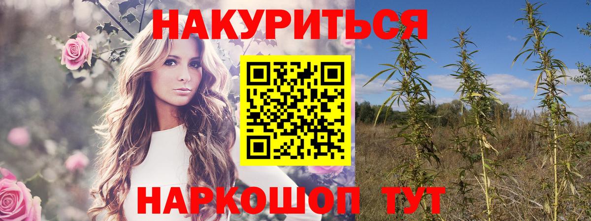 Канабис ГИДРОПОН  Бошки марихуана семена  Шишки марихуана White Widow  Вход с VPN  Каннабис THC 21%  Ростов Великий 